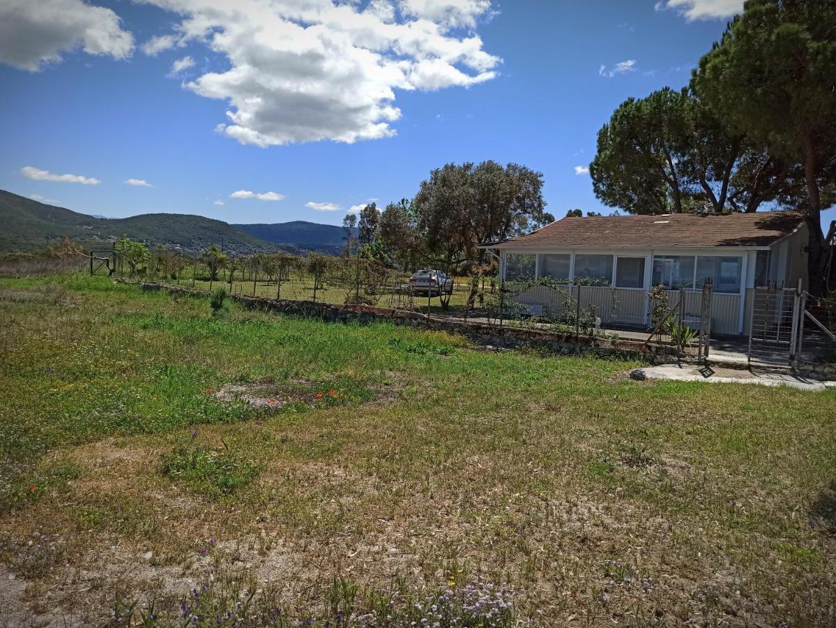 Kite Beach House Lefkáda Kültér fotó